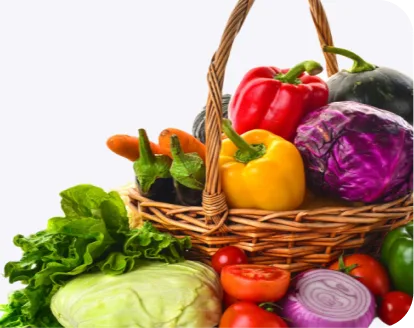 A basket of fresh vegetables