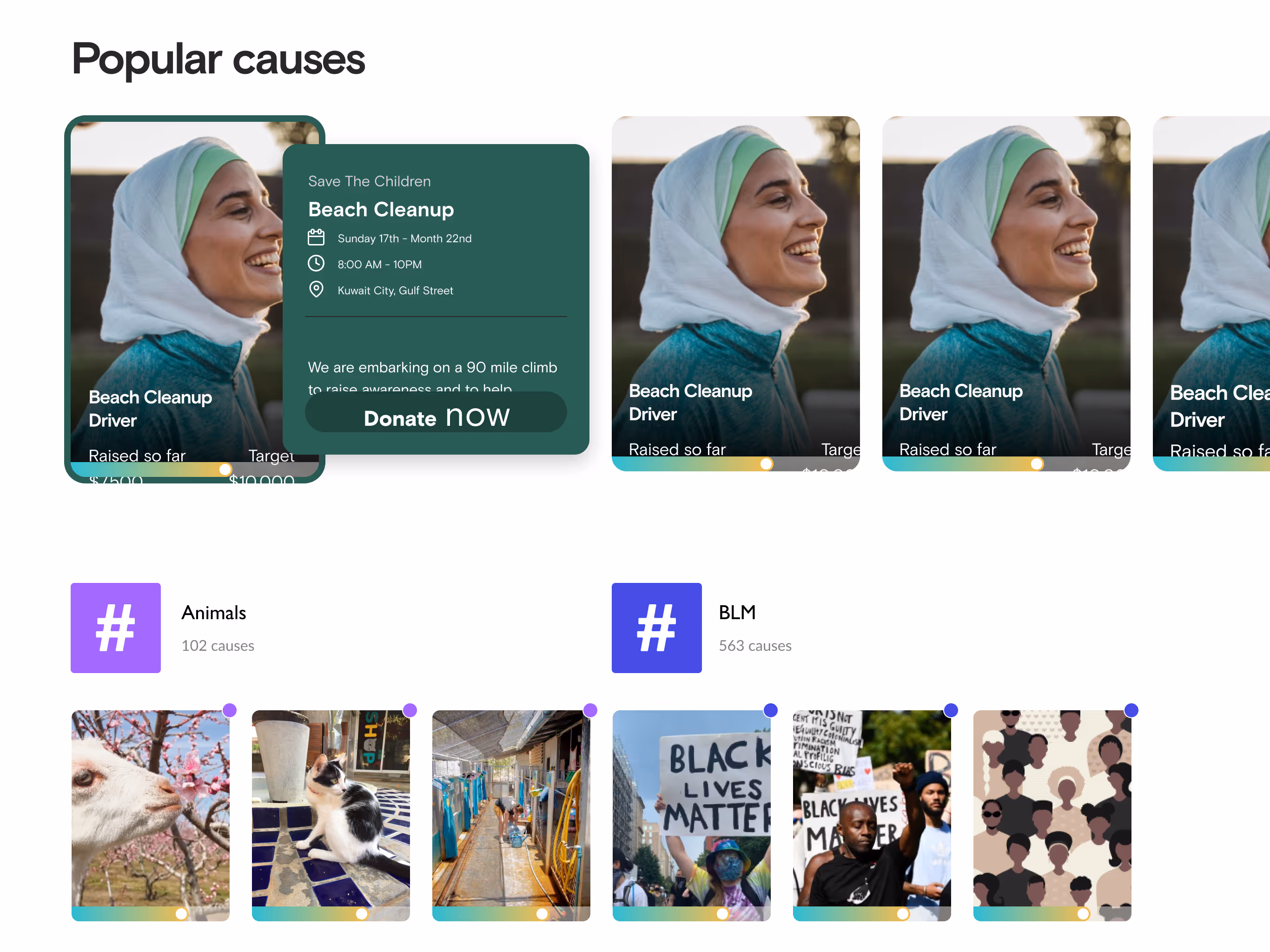 Boon — Launching a Website for a Non-Profit Platform